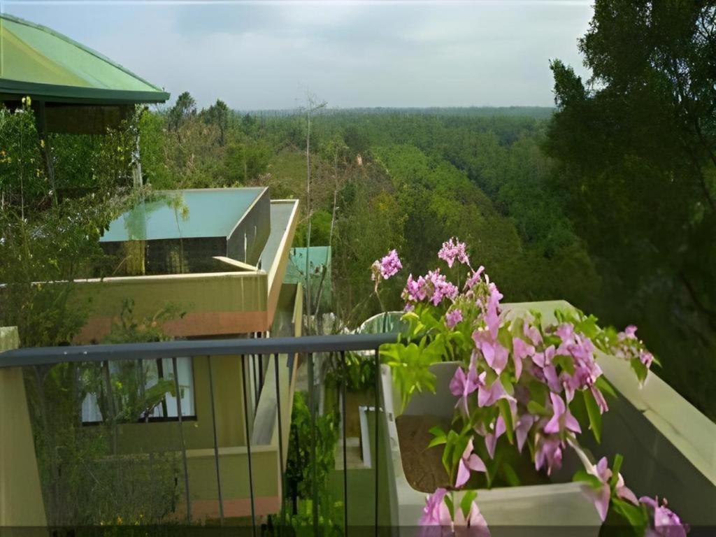 Hotel Mangrove Escapes Bentota Exterior foto