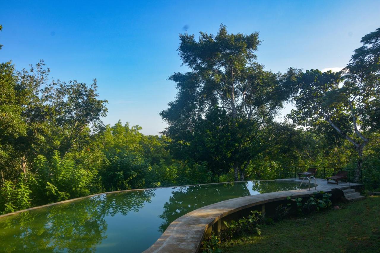 Hotel Mangrove Escapes Bentota Exterior foto